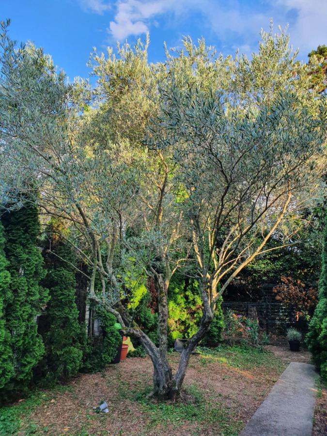 Cypress Garden Apartment Portoroz Exterior photo