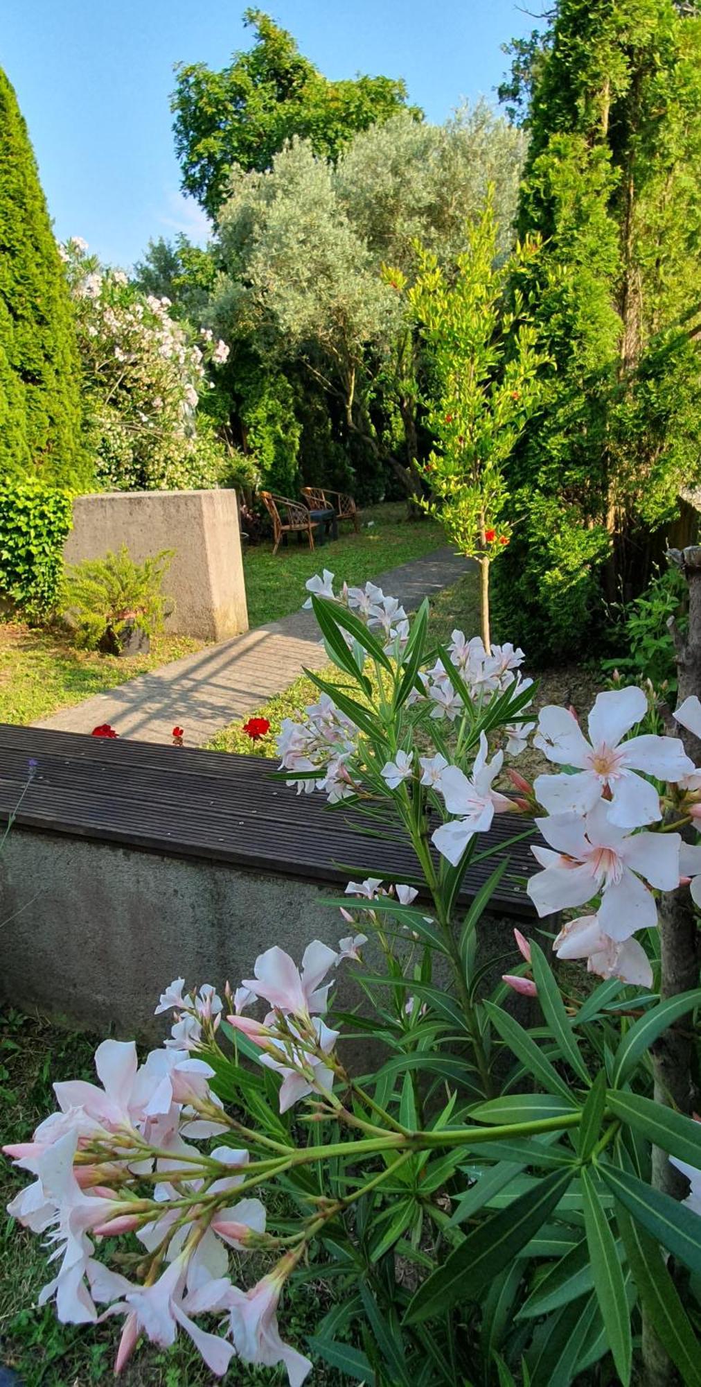 Cypress Garden Apartment Portoroz Exterior photo